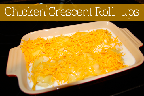 Chicken Crescent Rollups